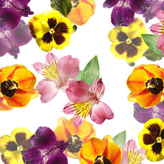 Beautiful floral background of tulips, alstroemeria and pansies. Isolated
