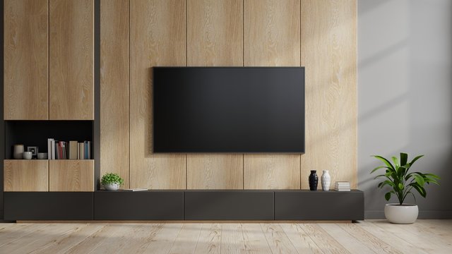 TV on cabinet in modern living room with lamp,table,flower and plant on wooden wall background.