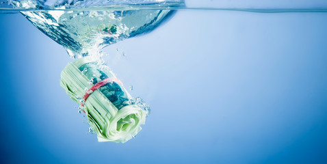 Global economic and financial crisis concept. US Dollar bills sinking in water as symbol of...