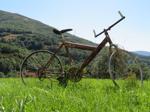 Beautiful photo of a rusty old bicycle and abused