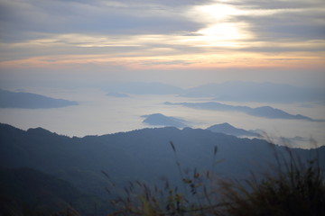 Morning view at Phu Chi Fa National Park, Chiang Rai, Thailand