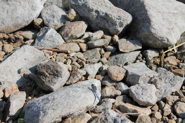 stone wall background