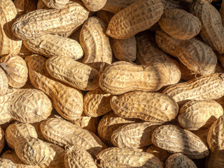 Peanuts as a group in a box in close view