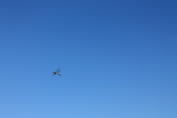 airplane in the sky