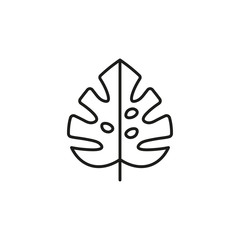 Monstera leaf icon vector on white background