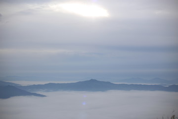 Obraz premium View of Doi Pha Tang, Chiang Rai, Thailand