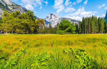 half dome on sunny day,yosemite national park,california,usa.