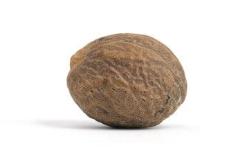 Closeup single nutmeg isolated on a white background