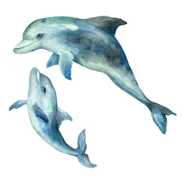Dolphin mom with cub on a white background, hand drawn watercolor.