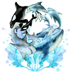 Group of swimming fish, dolphins, shark, blue whale, killer whale orca and blue seaweed on a white background, watercolor.