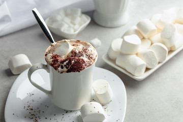 Hot chocolate with marshmallows sprinkled with chocolate crumbs.