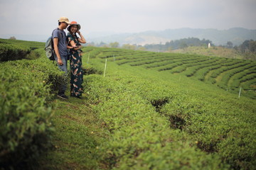 Woman and man standing in tea plantation in Chiang Rai, Thailand