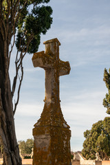 schönes altes Steinkreuz auf einem Friedhof in Spanien