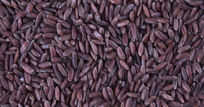 Rotation of dry raw unpolished brown rice