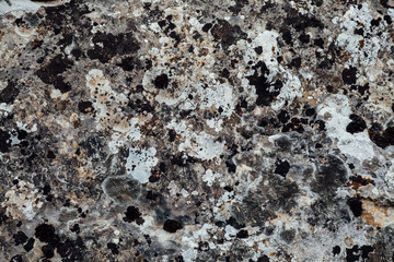 black gray vintage stone wall texture background