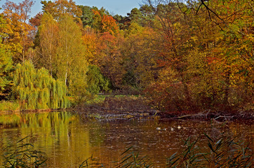 staw  © wedrownik52