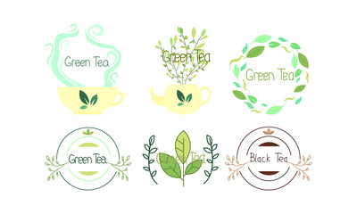 Different kinds of green and black tea labels and logos with drawings for tea brands