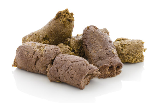 Dog shit. Pile of dog excrements on white bg. Isolated on white background with shadow reflection. With clipping path. With vector path. Dog feces, studio shot. Closeup shot. Cock of dog's turds.