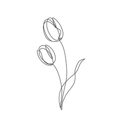 Two Tulips flower continuous line drawing. Vector illustration - 338326614