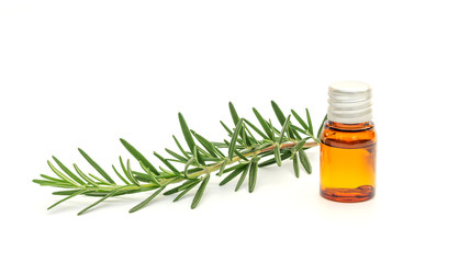 Rosemary oil and rosemary plant on a white background.