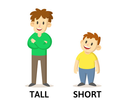 Tall Short Images – Browse 36,255 Stock Photos, Vectors, and Video