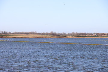 Wind runs over the water storage and rowing facility Eendragtspolder in Zevenhuizen in the Netherlands