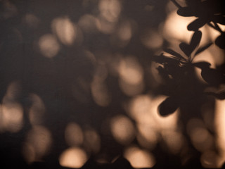 Natural leaves shadow background with light bokeh on brown wall texture for background.