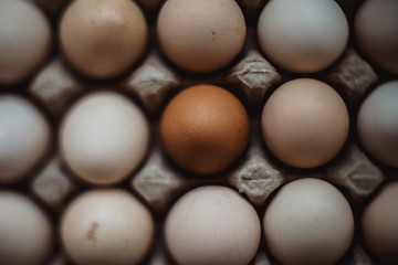 Healthy organic food, Ingredient protein breakfast, Fresh brown chicken eggs with unique white duck egg with selective focus and blurred surrounding background in paper tray pattern