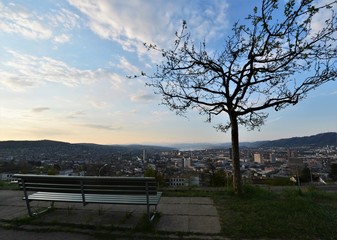 Park bench in the woad with a view of the city of Zurich Switzerland in the morning with the Alps in the background