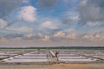 Fototapeta na wymiar Men & Women busy in collecting salts from the salt basin in Marakanam, Tamilnadu, India.