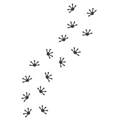 gecko footprint vector illustration design