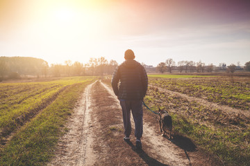 Man walking with a dog in the field at sunset. The man holding a dog on a leash