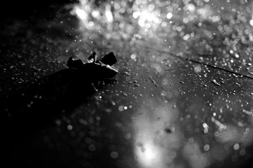 water, rain, abstract, black, window, night, glass, sky, drops, drop, space, dark, star, texture, wet, white, light, weather, blue, spray, winter, galaxy, dust