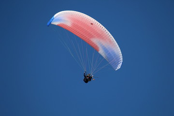 Fototapeta na wymiar Paragliding in the blue sky