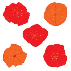 Set of had drawn doodle red flowers isolated on white.