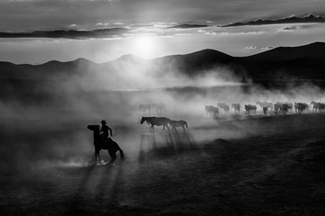 Native cowboys graze their horses. Hundreds of years old horse lives on the slopes of Mount Erciyes.