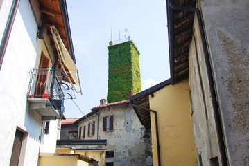 Fototapeta na wymiar Torre completamente ricoperta di edera verde a Garbagnate Monastero in provincia di Lecco