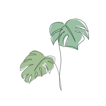 Monstera Leaves Line Art. Contour Drawing. Minimalism Art. Modern Decor.