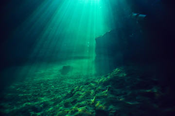 Naklejka premium coral reef underwater landscape, lagoon in the warm sea, view under water ecosystem