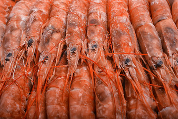 frozen king prawns, macro background seafood, fresh red prawns