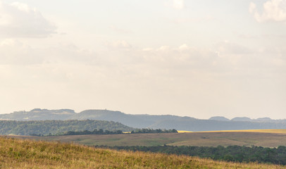 Obraz premium Rural landscape in southern Brazil Pampa biome area and livestock fields