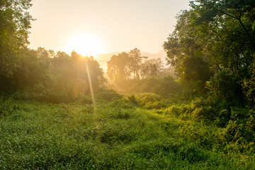 Into the wild and beautiful nature of Vietnam near My Son Temple complex.