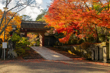 Japanese Temple during autumn foliage season in Nikko