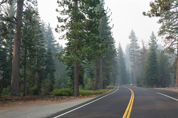Obraz premium Road in Yellowstone National Park in Wyoming, USA 