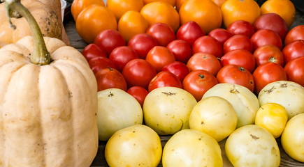 tomatoes and pumpkins on the table