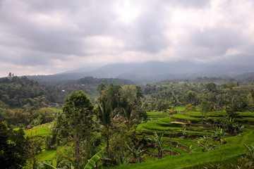 Beautiful views of the rice terraces of Jatiluwih in Bali, Indonesia