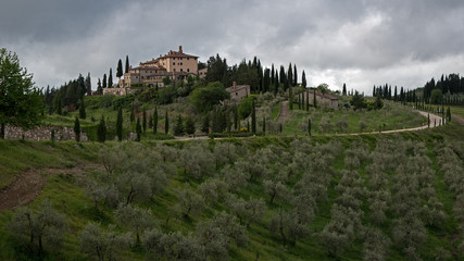 Panorama du Chianti, Toscane, Italie : vignes et oliviers
