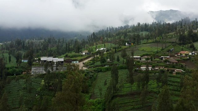 Agricultural hillside fields of Cemoro Lawang, East Java Indonesia.