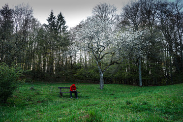 father and son walking in park