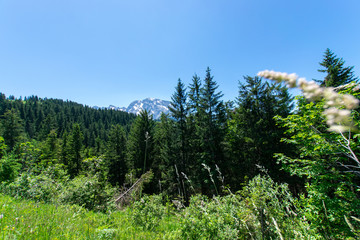 scenery around berchtesgaden 